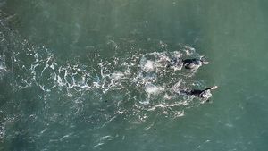 Antrenorul care „și-a bătut sportiva ca pe un câine” și a dus-o spre sinucidere, condamnat la închisoare