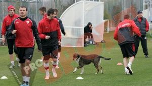 OFICIAL!** "Câinii" nu se mai întorc în țară! Ciobotariu s-a decis: Dinamo intră direct în al doilea cantonament