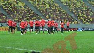 National Arena îi dă frisoane lui Ibisevic!** Bosniacul și-a amintit de coșmarul de pe Giulești: 'Românii pot face o atmosferă senzațională' Mesajul pentru Reghe