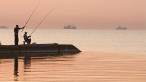 "La pescuit", cronică din blogroll-ul prosport.ro