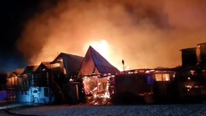 Ce a încercat să facă patronul de la Ferma Dacilor pentru a scăpa de arest! Decizia judecătorilor a venit imediat