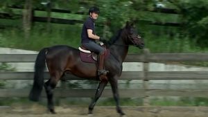 Marius Croitoru va avea parte de o primă specială dacă FC Botoșani câștigă titlul. Patronul Valeriu Iftime i-a promis cadou un cal. „Este un fel de Chindriș sau de Moruțan | VIDEO