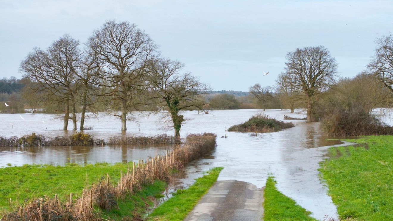 Drama milionarului român, care s-a trezit cu inundația peste el: „A venit șuvoiul noaptea, la 02:30”
