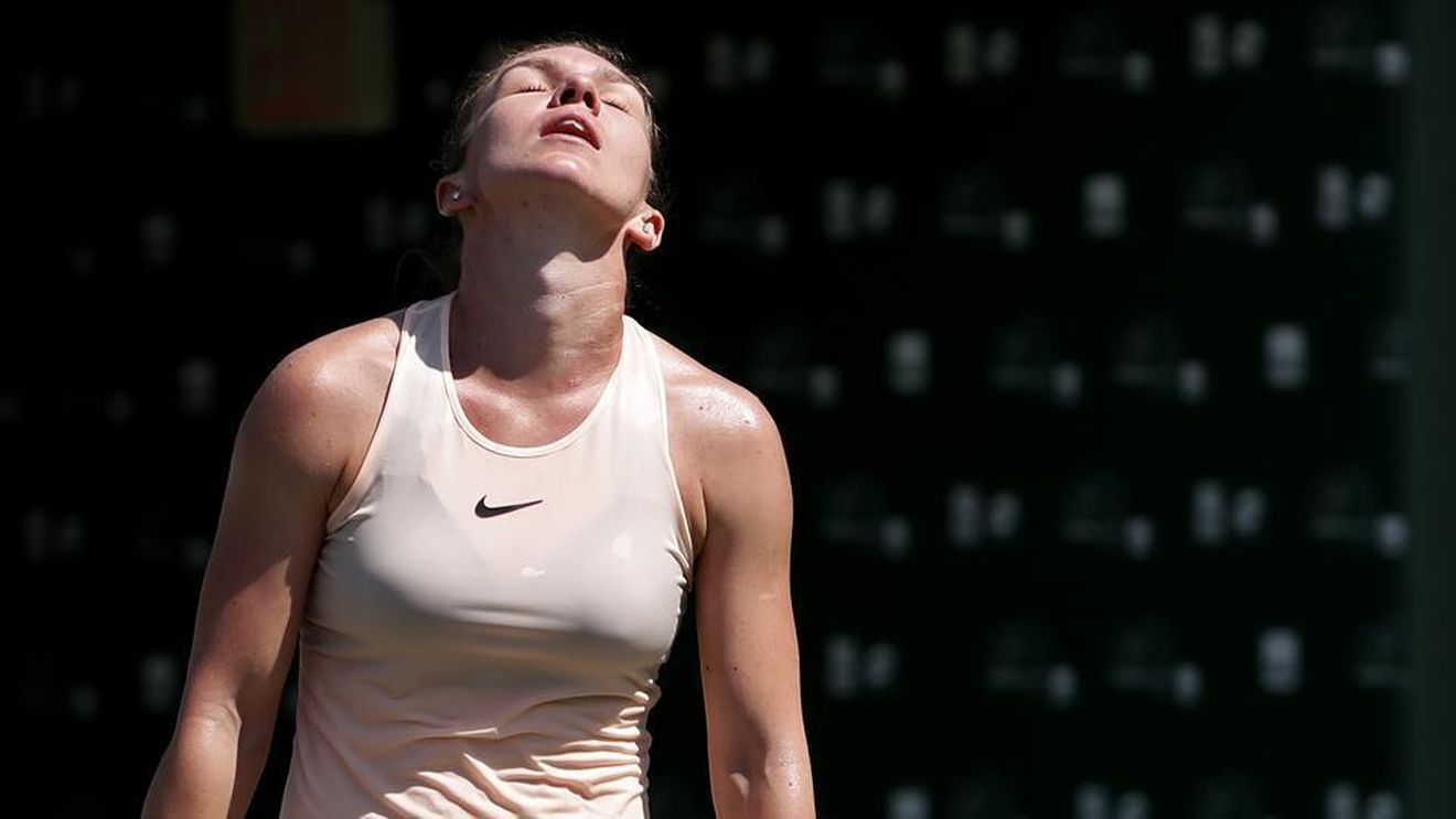 FOTO & VIDEO | "Twitter, mă omori!". Halep a întâmpinat probleme pe rețelele sociale. Fanii i-au sărit în ajutor, iar Simona nu a rămas datoare