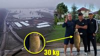 De necrezut! Gigi Nețoiu și Victor Pițurcă au prins un crap de 30 de kilograme: „Cel mai mare trofeu!”