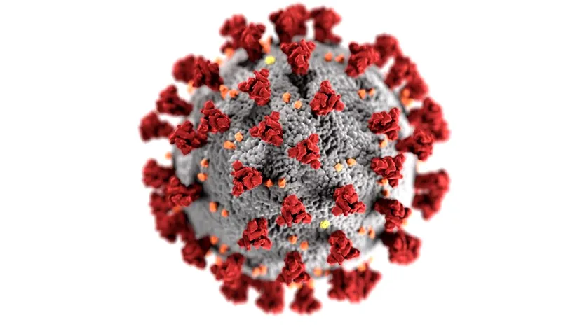 Bilanț COVID-19, 19 ianuarie 2022. O nouă zi cu peste 16.000 de cazuri noi de coronavirus