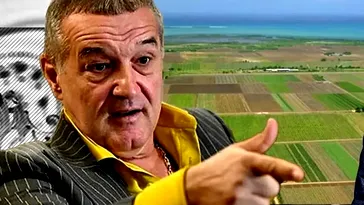 Gigi Becali, tun imobiliar de 200.000.000 de euro. Apare cartierul miliardarului: „O să fie mai tare ca pe Nordului la Ambasada Chinei”