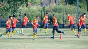 Lipsa steliștilor supără vestiarul echipei naționale: "Ce, ei au statut de vedetă? Și noi ne puteam lua vacanță"
