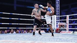 Botosani, gazdă pentru a treia etapă mondială a circuitului Superkombat