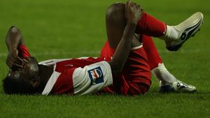 Gripă canină sau porcină?** "Câinii roșii" virusați!