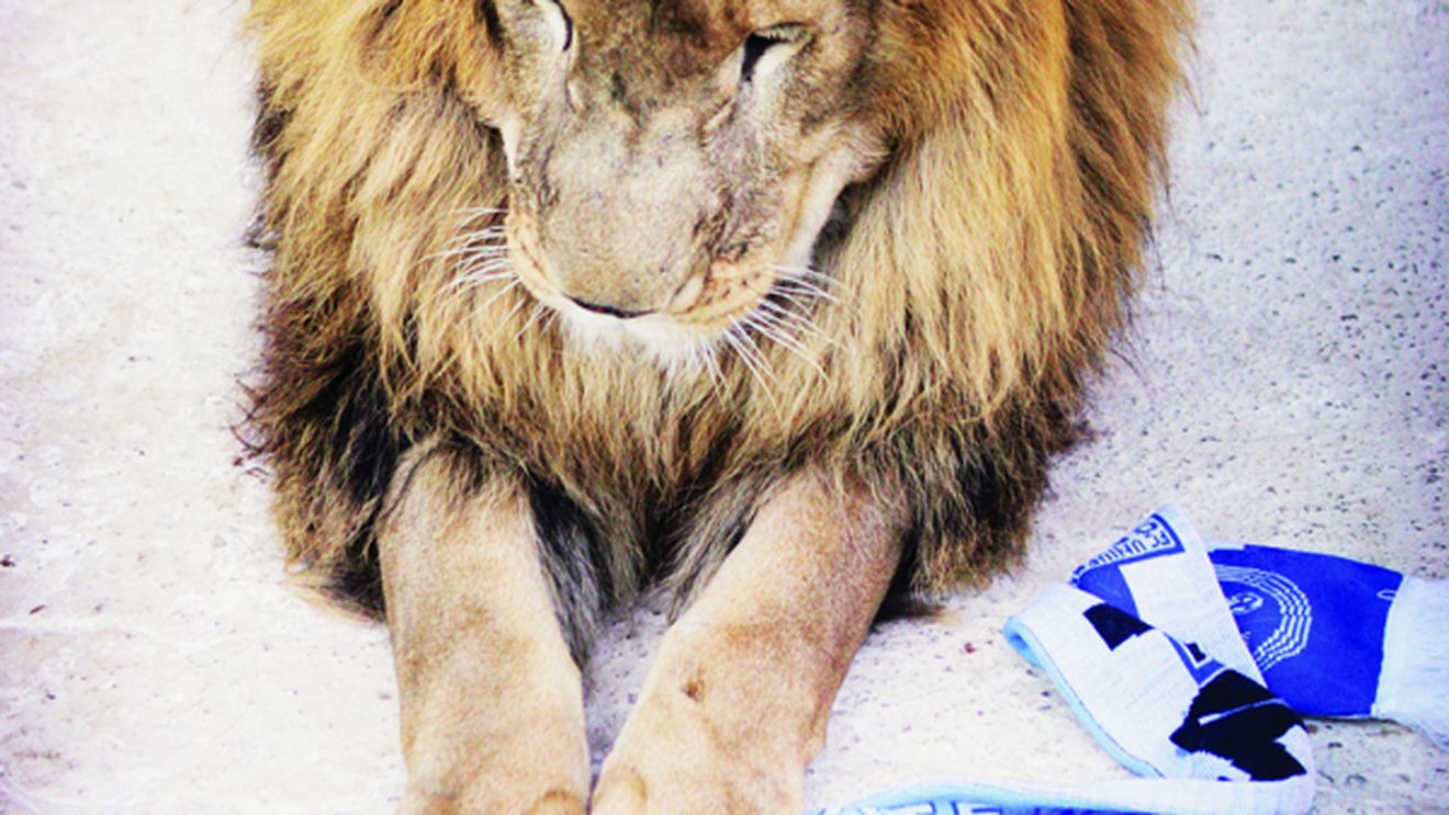 Se alege praful de proiectul lui Cămătaru la Craiova?** "Îi anunț pe Mitică și pe gașca de la FRF că vin peste ei!"