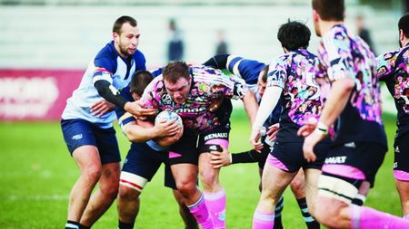 "Stejarii", retezați în ultimul minut