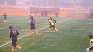 Bosniacul Sasha Stevic i-a convins pe nemțeni!