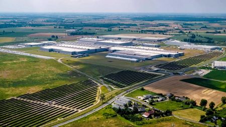 Volkswagen a angajat 100 de oi pentru o misiune neobișnuită. De ce a apelat compania la această soluție