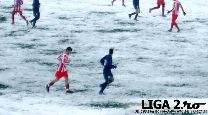 Amical „înghețat