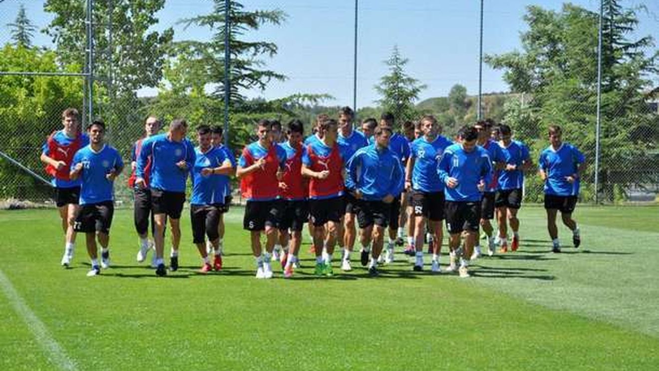 Dureri de cap pentru Hagi!** Patru jucători, cu probleme: Denis Alibec s-a accidentat