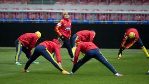 Olandezii s-au mirat că nu este în primul '11' al României.** Un stelist, acontat deja de Ajax? Ce au dezvăluit jurnaliștii batavi