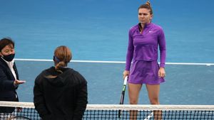Fostul sponsor al Simonei Halep, atac fără precedent după amânarea procesului: „Niște măgari!" Ce l-a enervat atât de tare