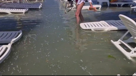 Stațiunea din România DISTRUSĂ de ape! Marea a inundat zona de plajă, astăzi 😲
