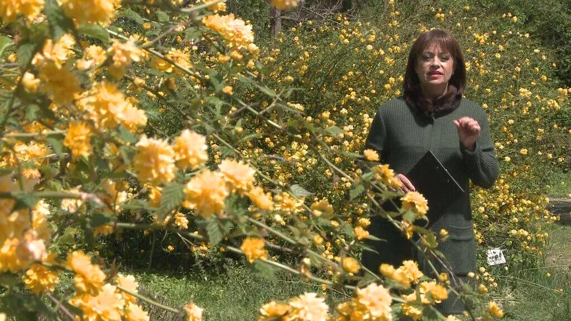 Adriana Trandafir, mărturisiri dureroase după ce a fost infectată cu coronavirus. ” M-am rugat la Dumnezeu să mă ia, la cât de rău era”