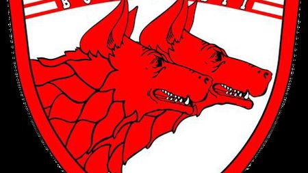 Suporterii au decis noul logo al lui Dinamo: „Rămâneți aproape!” Când aflăm votul legendelor