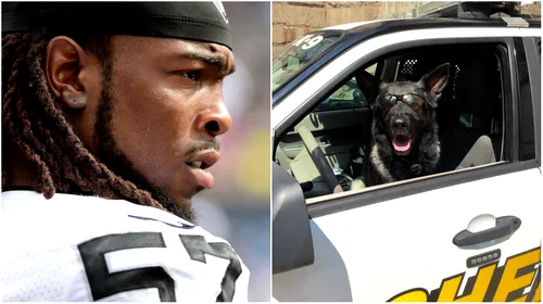 Se întâmplă în America: un jucător din NFL este anchetat pentru că a lătrat la un câine! Ce acuzație i se aduce