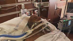 Celebrul milionar a intrat în casa care luase foc ca să-și salveze părinții de la moarte, iar acum se luptă pentru viața lui în spital!