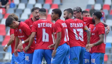 Steaua poate ajunge pe mâna unui consorțiu dispus să investească zeci de milioane de euro