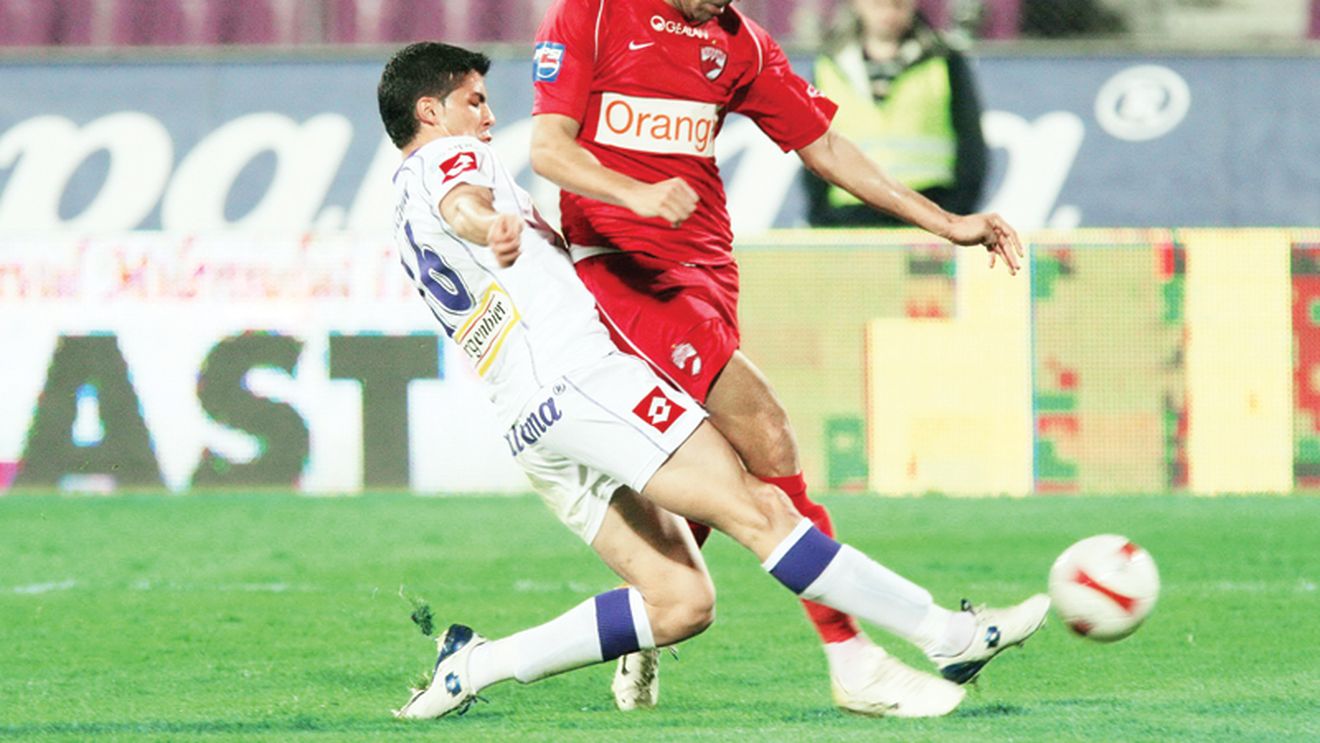 „Câini" furioși