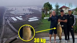 De necrezut! Gigi Nețoiu și Victor Pițurcă au prins un crap de 30 de kilograme: „Cel mai mare trofeu!”