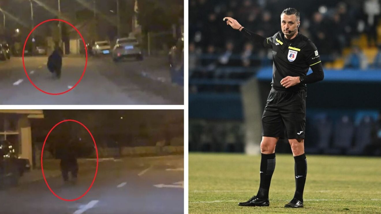 Ursul i-a ieșit arbitrului român chiar în fața mașinii, pe străzile din Ploiești! Imagini ireale filmate de Andrei Moroiță, centralul din Superliga României. VIDEO