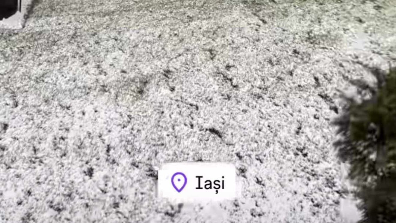 Vine iarna! Un algerian a revenit în România, după ce Gigi Becali l-a umilit, şi acum e şocat de vremea de la Iaşi