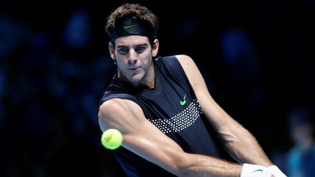 De Potro l-a învins pe Verdasco la Turneul Campionilor