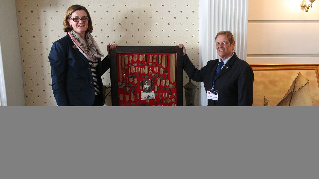 CÃ‚T DĂ‚M, ATÃ‚TA FACE | Bugetul sportului se prăbușește chiar în anul Olimpiadei. Guvernul Cioloș alocă mișcării sportive, în 2016, cu 82,5 milioane de lei mai puțin decât în 2015, ministrul Lipă spune că se descurcă | GRAFIC