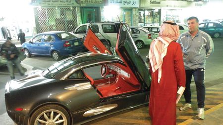 L-a vizitat pe  Andone