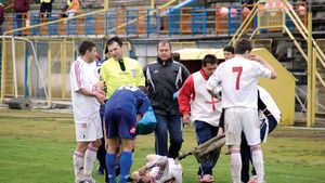 Tunurile pe arbitru