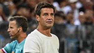 Cristi Chivu, reacție despre ieșirea despre care vorbește toată Italia! De ce a alergat pe teren în Inter – Napoli