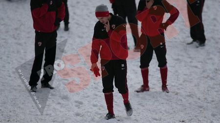 FOTO UM Dinamo 2010!** Vezi ce face "Țânțarul" din "câini"?