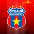 Steaua merge la TAS împotriva FRF. ”Clubul a înaintat către Tribunalul de Arbitraj Sportiv de la Lausanne documentele necesare. Acționăm pentru a ne proteja drepturile și interesele”