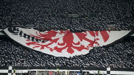 Organizatorii EURO 2024 și polițiștii din Germania, în alertă din cauza ultrașilor care plănuiesc bătăi pe „dark web”. Țintele principale sunt fanii englezi