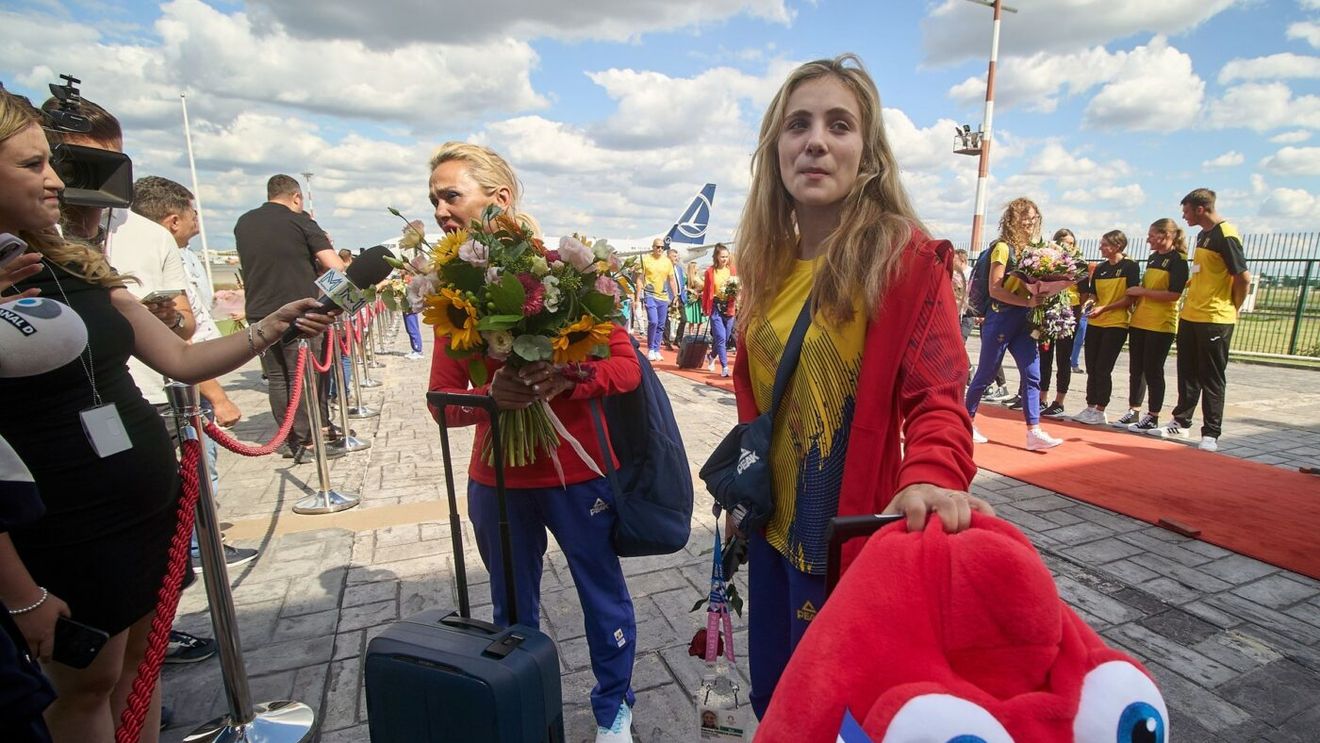 Cine este Hamid Gharavi, președintele completului de judecători de la TAS în cazul „Voinea - Bărbosu versus FIG”. Ce legături are acesta cu România