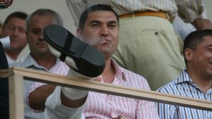 Borcea: "Dragomir va interveni 100 % dacă va fi ceva necurat"