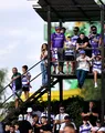EXCLUSIV | Unde va juca Știința Poli Timișoara derby-urile cu Rapid și Steaua și orașul bănățean care a ratat ocazia unui mare eveniment fotbalistic