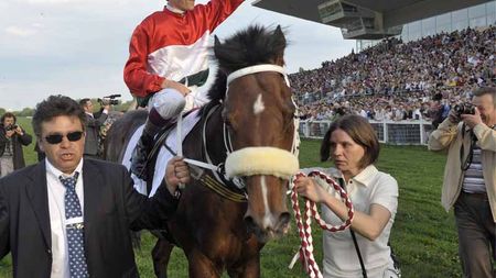 SUPER VIDEO / Overdose, calul care a înnebunit Ungaria