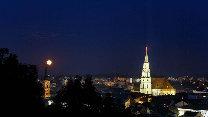 Ce a trăit portughezul de 55 de ani venit să muncească la Cluj: „Totul a fost o minciună! Nu ne-au plătit nimic”