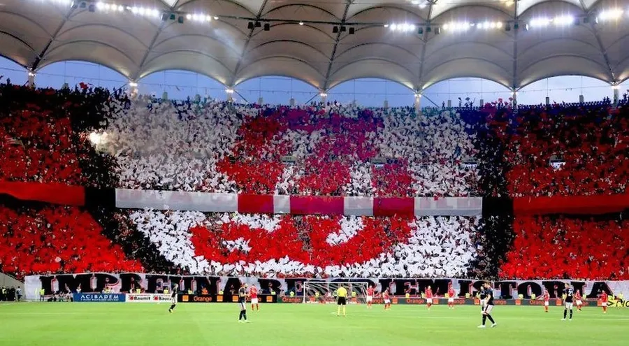 ddb dinamo curatenie suporteri faliment club