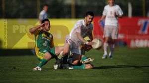 Lui CS Mioveni i-a lipsit suflul să producă surpriza contra Rapidului:** "Când nu ai șmecherie, nu poți rezista la nivel înalt"