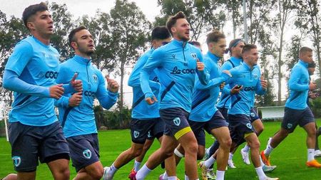 Petrolul, prima mare problemă în Antalya! Antrenorul Florin Pîrvu a trecut pe tratament bazat pe miere de albine după ce și-a pierdut vocea. „Nu mai puteam să articulez un cuvânt”. EXCLUSIV