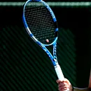 Irina Begu nu l-a putut avea în tribună pe Flyn, talismanul ei canin, și a ratat calificarea în a treia sa optime de finală la Roland Garros