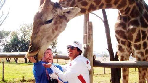 Zamorano a supus girafa